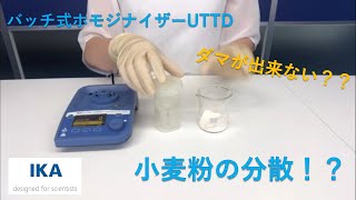 バッチ式ホモジナイザー　UTTD　小麦粉を分散させる！？