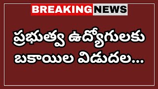 ప్రభుత్వ ఉద్యోగులకు బకాయిల విడుదల...