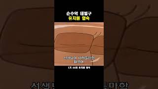 순수악 데빌구 유치원 합숙!