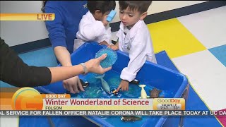 Stem Lab Winter Wonderland