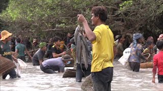 ឆ្នាំនេះបុណ្យចាប់ត្រី​នៅមេមត់​ ត្រីក៏ច្រើនមនុស្សច្រើន​ ១៨ កុម្ភៈ​ ២០២៣ | Fish Festival Feb 18, 2023