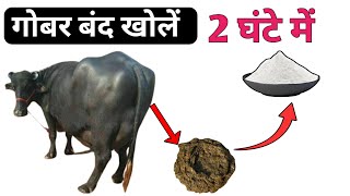 गाय भैंस का गोबर बंद खोलें मिनटो में ? impaction of rumen  cow and buffalo treatment?