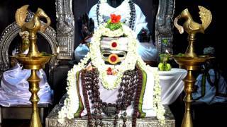 Guruji Sundar silent satsang at Mahan Sri Gurulinga Swamigal temple