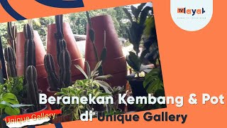 Aneka Kembang dan Pot di Unique Gallery