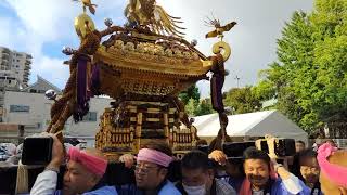 亀戸天神社例大祭！８年ぶりの神社神輿渡御祭、朝７時から始まった発輿祭をお届け！#亀戸天神社 #例大祭 #神輿 #祭り #神輿渡御