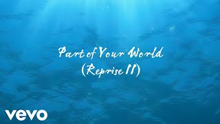 Part of Your World (Reprise II) - The Little Mermaid - (male cover)