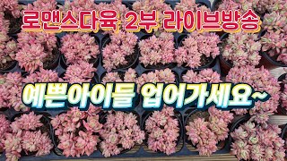 로맨스다육🌵 라이브 방송 010-2781-1080