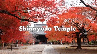 Shinnyodo Temple, Shinsho Gokurakuji Temple, Kyoto / 真如堂 真正極楽寺 京都