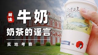 【揭秘】牛奶、奶茶全是科技與狠活？實地探查茶顏悅色 X 雀巢Nestle 哈爾濱奶源基地！｜萨古的奶茶计划