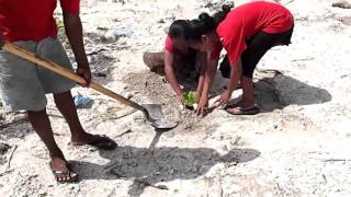 GCCA Woja Causeway Project, Ailinglaplap Atoll,  Republic of the Marshall Islands