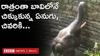 Elephant In Well: చిత్తూరు జిల్లాలో బావిలో పడి రాత్రంతా అందులోనే ఉన్న ఏనుగు... చివరికి | BBC Telugu