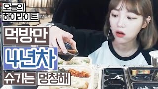 [오늘의 하이라이트] 먹방만 4년차, 슈기는 멍청해 !!! 슈기♬ Mukbang