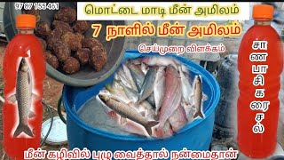 🐛மீன் கழிவில் புழு🐛மீன் அமிலத்தில் புழு🐛 வைத்தால் நன்மைதான் விலக்கப்பதிவு#9787155461🐛