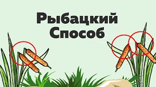 Что означает сломанный камыш на болоте? Хитрый способ рыбаков!