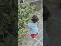 রুশী খুব খুশি.. 🥰ওর বাড়ির ছাদ.. গাছের সবেদা... for foryou cutebaby plants rooftopgarden