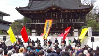 成田太鼓祭2017_ 琉球國祭り太鼓_ Ryukyukoku Matsuridaiko in Narita Drum Festival