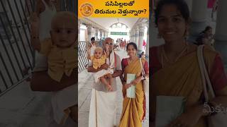 Infant darshan in tirumala