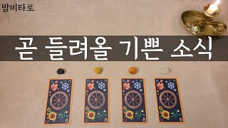 [타로/운세]곧 들려올 기쁜소식