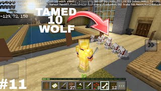 PART 11__ I TAMED 10 WOLF, MAKING A LOCATOR MAP MINECRAFT HINDI..