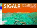 Sigala, Trevor Daniel, 24kGoldn - It's A Feeling (eSQUIRE Remix)