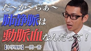 『覚え方』静脈、大静脈、肺静脈、静脈血の違い【中学理科】