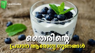 തൈരിന്റെ പ്രധാന ആരോഗ്യ ഗുണങ്ങൾ | Health Benefits Of Curd | Learnlabs Malayalam