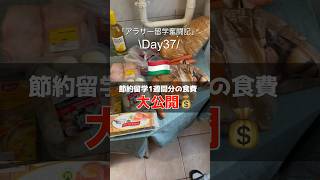 【アラサー留学奮闘記/Day37】ハンガリー留学の食費大公開！ #vlog #社会人留学 #英語 #english #ヨーロッパ  #ハンガリー #shorts