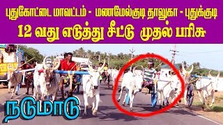 நடுமாடு புதுக்குடி 18-07-2019 nadumadu Puthukudi maadu vandi panthayam rekla race krish studio