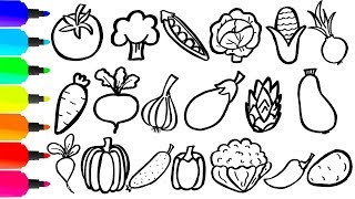 Coloring 20 vegetables | Painting for toddlers and drawing for kids | Learn 20 vegetables
