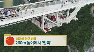 중국, 260m 높이에서 '펄쩍' [세상에 이런 법이?]