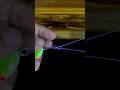 fishing knot setup #shorts #fishing #knot #tips