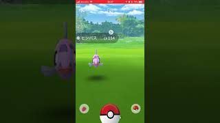 ポケモンGO ヒンバス色違いなんとかゲット😀