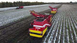 2x Grimme EVO 280 + ASA LIFT CropCart Kartoffeloptagning Kjargaarden 2022