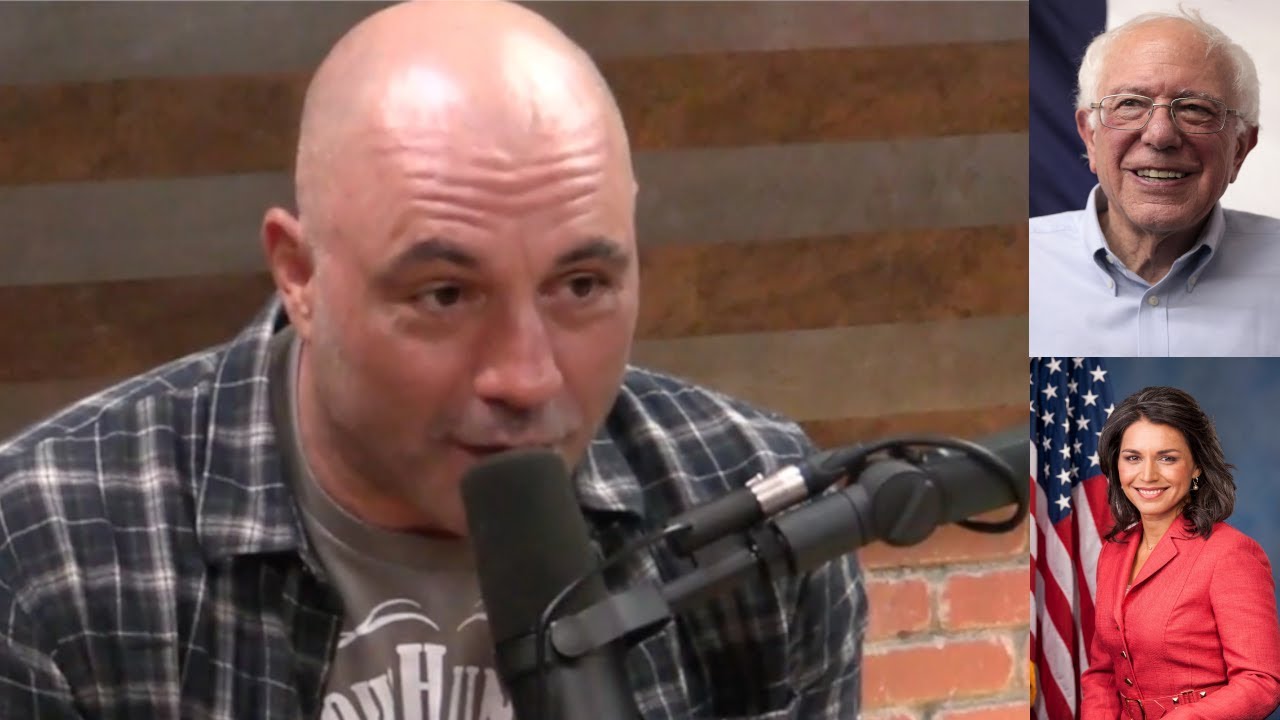 Joe Rogan ENDORSES Bernie Sanders/Tulsi Gabbard Ticket & Says They Can ...