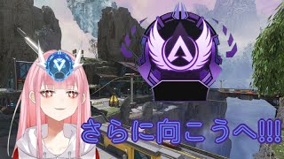 【APEX】朝の時間帯狙い