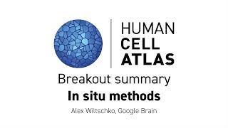 Hinxton 2018 - Breakout summary: In situ methods