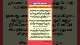 வியாழக்கிழமை குருபகவான் வழிபாடு#வியாழன்#வியாழக்கிழமை#குருபகவான்#ஜாதகம்#ஆன்மீகதகவல்#ஆன்மீகம்#thursday