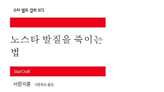 뭐? 선아둔이 973 카운터라고?? - 서문지훈의 강의-