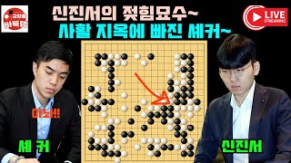 [12.14 LIVE 신진서의 젖힘 묘수~ 사활지옥에 빠진 셰커] 2024 #한중슈퍼매치 #신진서 vs #셰커 #김성룡바둑랩 #바둑