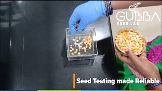 Seed testing is an important...