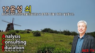 [부동산풍수연구] 12운성 쇠ㅣ서경대 대학원 외래교수ㅣ협회 상담위원/전임교수 ACE 안호형 박사