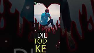 O Dil Todke Hasti Ho | Udit Narayan | B Praak | Bewafa Sanam Movie Song | Sad Song | My Love