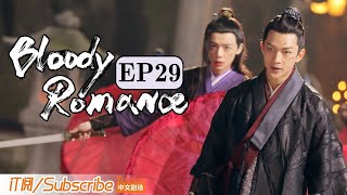 【ENG SUB】《媚者无疆》双语精简版 第二十九集 Bloody Romance EP29（李一桐 / 屈楚萧 / 汪铎 / 郭雪芙）| Caravan中文剧场