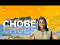 Chobe national park in Botswana - What to See?