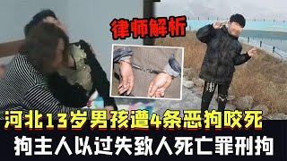 河北一男孩遭4條狗咬死，狗主人以過失致人死亡罪刑拘，律師解析