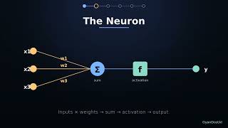 Deep Learning Basics — Explained Visually in Under 3 Minutes