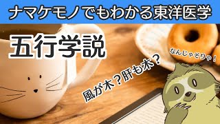 【はじめてでもわかる東洋医学】五行学説について【音声解説RADIO】