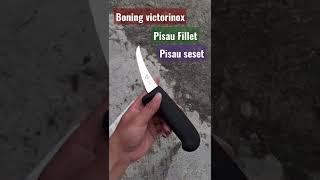 victorinox boning knife/ pisau seset daging/ fillet /butcher unggas super tajem