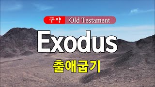 02 Exodus (출애굽기) 영어성경 NIV 통독 낭송 / 영어 자막 / 전문 성우가 읽어주는 오디오 성경