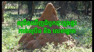 សុបិនឃើញដំបូកដុះក្នុងផ្ទះ កាត់សុបិន និង លេខឆ្នោត ៙៙៙ Khmer Dream And Lottery Number